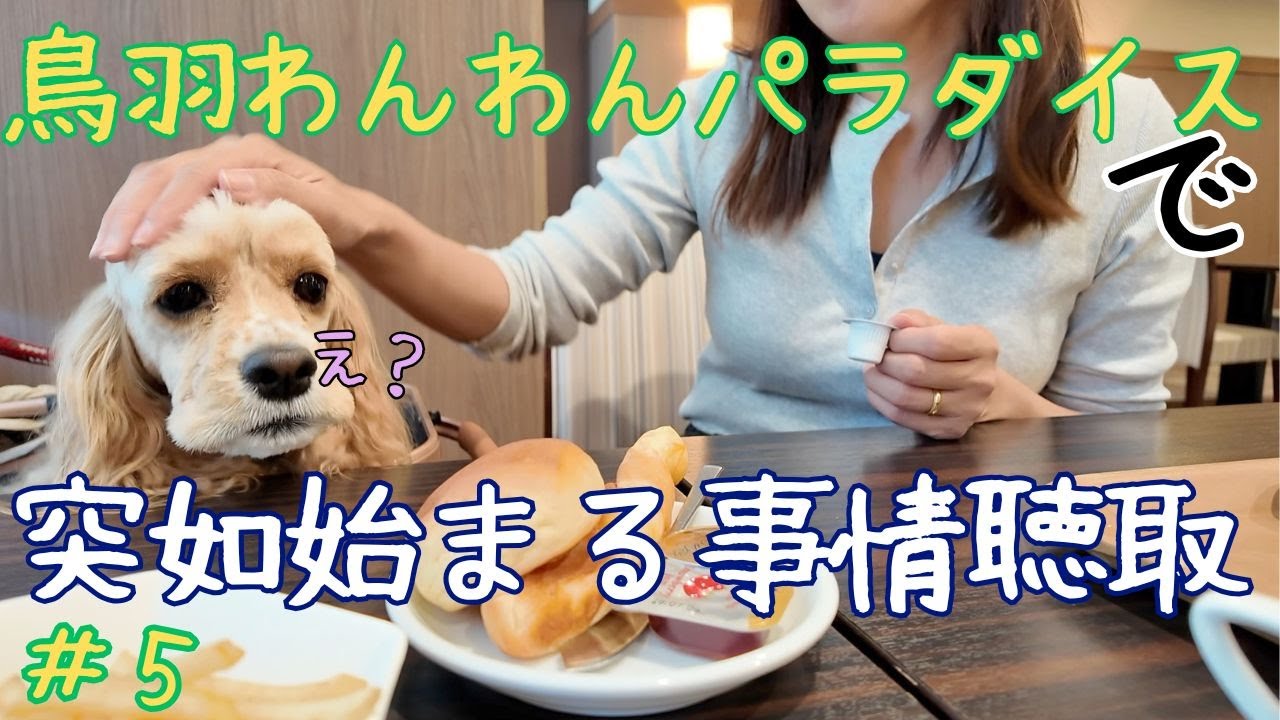 【三重県】リリィ家修学旅行＃５リリィさん鳥羽わんわんパラダイスさんへゆく