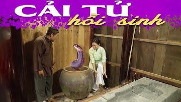 CỔ TÍCH CẢI LÃO HOÀN ĐỒNG - Cổ Tích Việt Nam 2023⭐Truyện Cổ Tích Hay Nhất 2023⭐Phim Cổ Tích Việt Nam