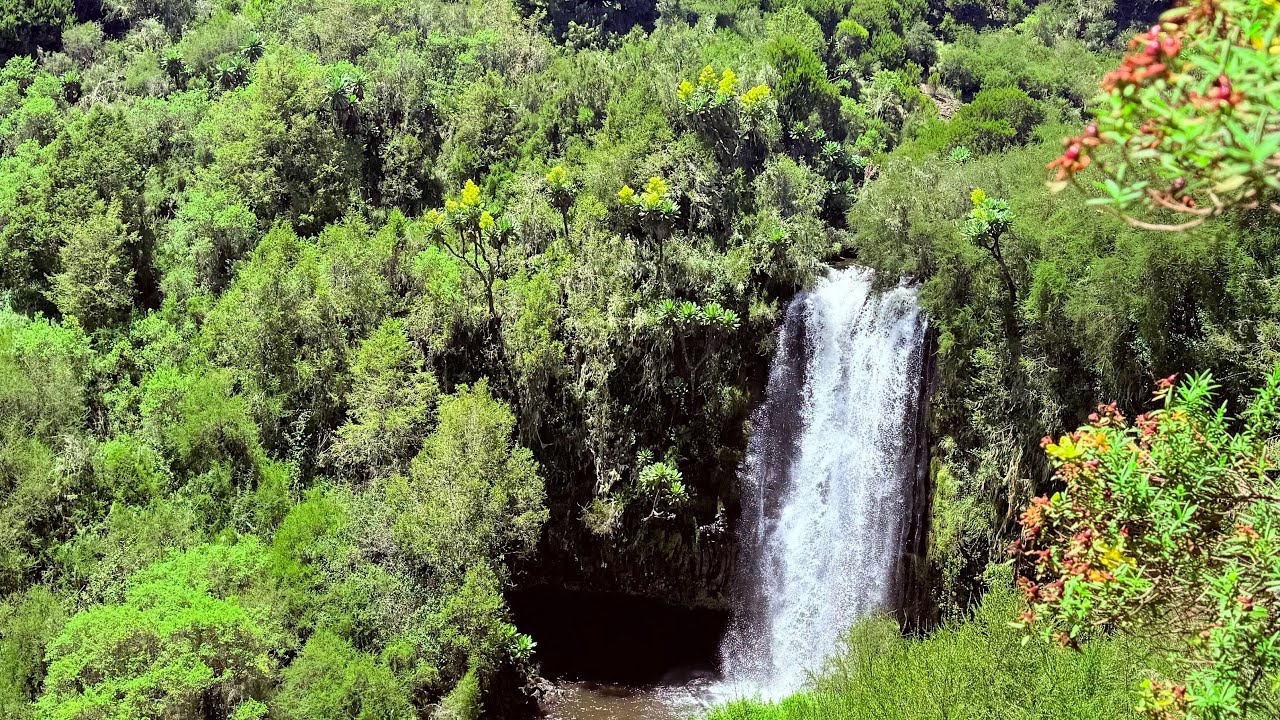 Exploring the Untamed Beauty of Aberdare Ranges | Kenya Travel Vlog