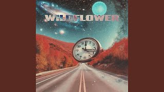 Wildflower (Electric Guitar) - Strummit, Alhanii