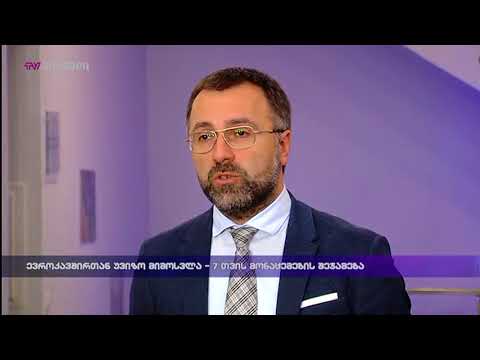 ევროკავშირთან უვიზო მიმოსვლა - 7 თვის მონაცემების შეჯამება