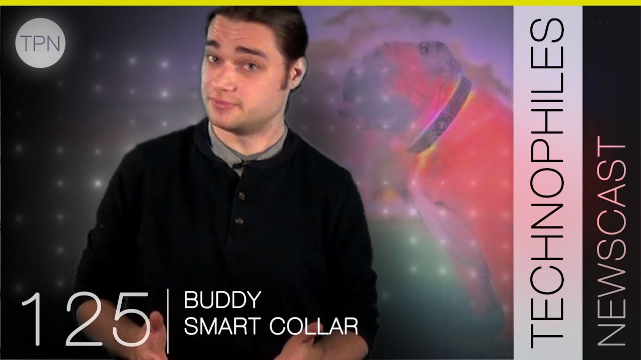 buddy smart collar