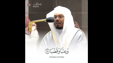الشيخ ياسر الدوسري(أنا صببنا الماء صبا) تلاوة خاشعة من سورة عبس