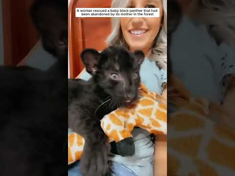 Animal rescues that touch your heart... #animals #rescue #wildliferescue #wildlife #bestfriend #love