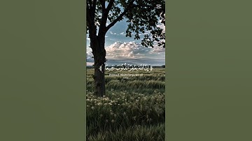 القارئ محمد اللحيدان/ سورة الزمر