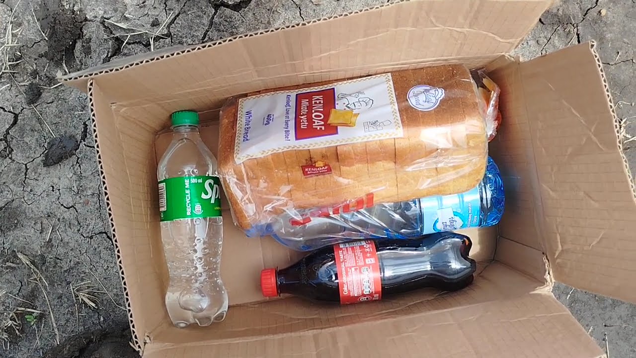 Planting maize 🌽 for the first time, wish 🤞me luck 🤞.#newfarmer#passion#maizefarming