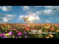 Relaxing music  travel to dreams     