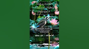 تلاوة خاشعة عطرة مباركة جميلة عذبة للشيخ سعود الشريم ماتيسر من سورة الفرقان