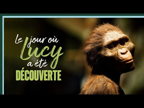 Vidéo: Qui a fondé les os de lucy ?