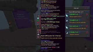 New OP Hypixel Skyblock Auction Flipping Tool | Skyhouse Mod Overview