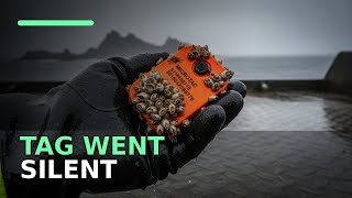 This Dive Tag Went SILENT at 3,000 Meters — Science Has No Answer