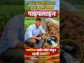 plz support my channel #maharashtrianvlogs #minivlog #marathicreator
