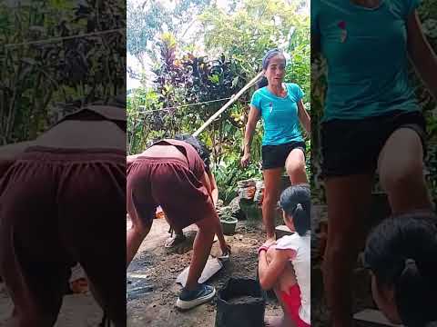 Mga batang estudyante na kumakain sa bahay, tinulungan akong maglagay ng lupa sa polybag