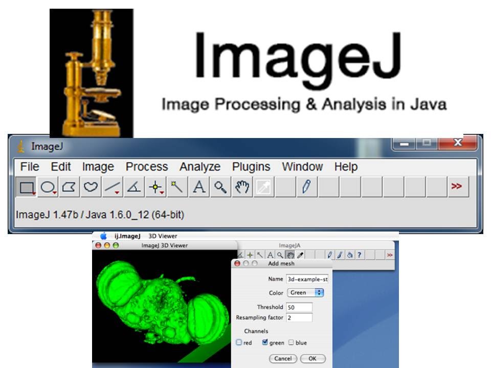 How To Download Image J