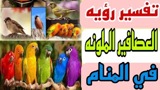 تفسير رؤيه العصافير الملونه في المنام/رؤيه العصفور الملون في الحلم للرجل والمرأه