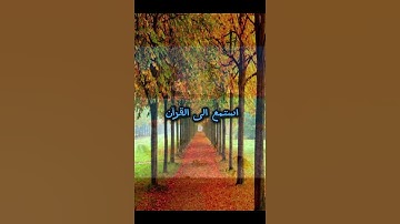#ياسر_الدوسري سوره الرعد ❤