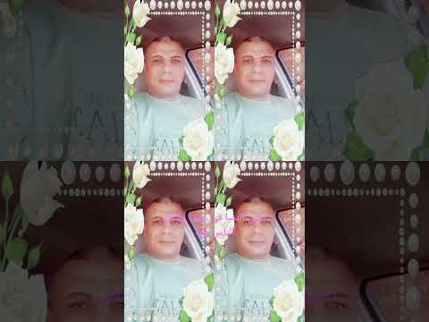 دة حبيبي عارفين يعنى ايه حبيبي 