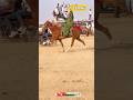 Vekriya horse jamku ni moj | horse of Gujarat | horse power | #shorts #horse #royalhorserace47