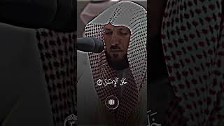 الشيخ ماهر المعيقلي سورة الرحمن