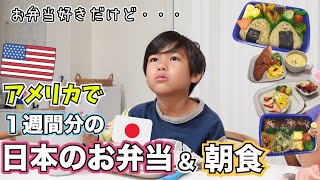【1週間日本のお弁当】アメリカの学校に日本式のお弁当を持って行ったら【朝ご飯献立|海外の反応】