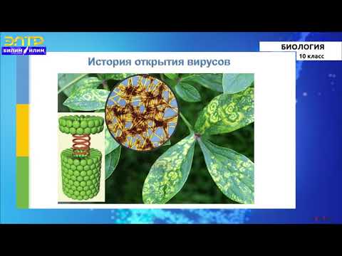 10-класс | Биология |  Введение в общую биологию. Многообразие живых организмов и их классификация