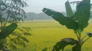 অশ্বগাগান নড়াইল 
