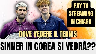 DOVE VEDERE TUTTO IL TENNIS IN TV? GUIDA AGLI ABBONAMENTI E PIATTAFORME NECESSARIE!