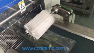 Cucumber packing machine - Coretamp