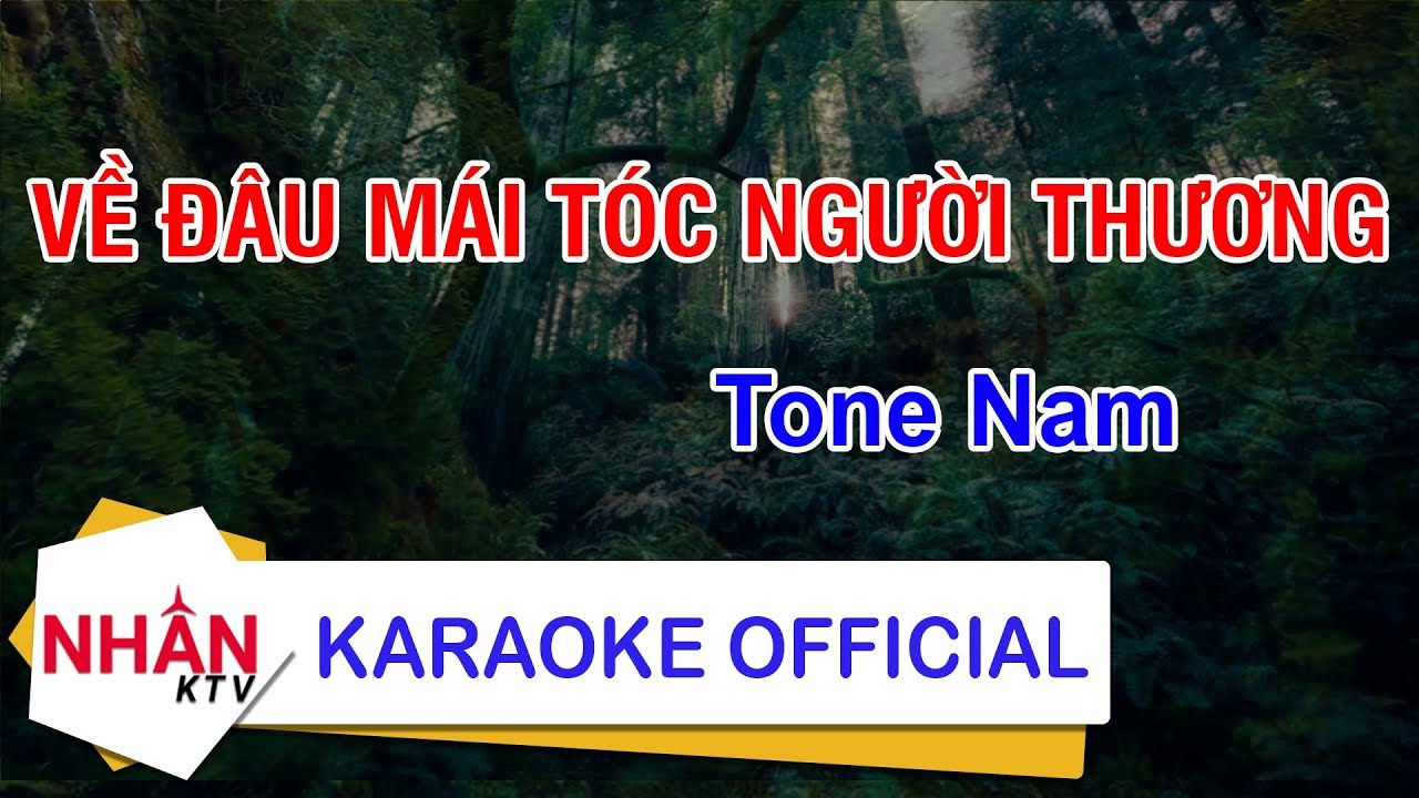 Karaoke Liên Khúc Nhạc Trữ Tình Cha Cha Tone Nam  Về Đâu Mái Tóc Người  Thương  Về Quê Ngoại