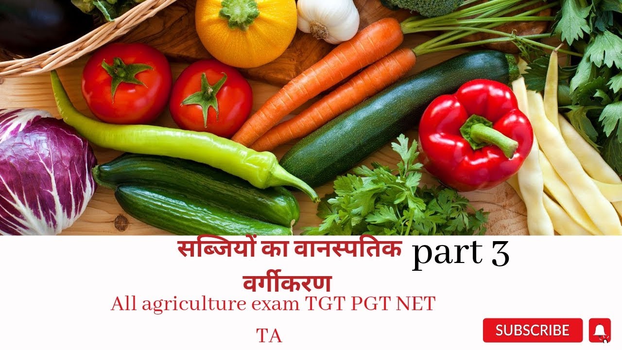 classification-of-vegetable-part-3-youtube