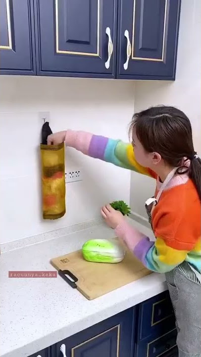 Tempat Penyimpanan Kantong Plastik atau Dispenser Plastik Kresek!