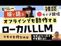 ローカルLLMって何なのか？ラズベリーパイでも動作するモデルもあったりいろいろ出来るぞ雑談 with 嫁