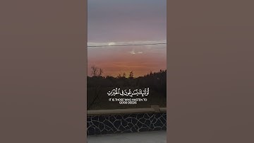 قرآن كريم _تلاوة خاشعة _راحة نفسية #قرآن #اكسبلور #ترند #quran #fyp #tiktok #trending #explore