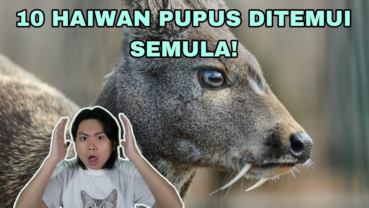 10 Haiwan Pupus Ditemui Semula!