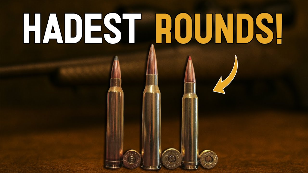 6 самых мощных охотничьих патронов, о которых вам нужно знать в 2025 году!
