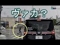 このタイミングで渡ろうとするなんて、犬を連れていても駄目ですよ！