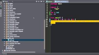 golang loops