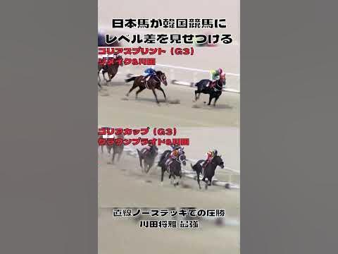 【出禁レベル】韓国競馬重賞で日本馬が圧勝shorts YouTube