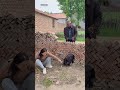 Was it the old man who did this What do you all think