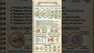 Cell Cycle and Cell Division/notes /NEET 2027/#neet #viral #motivation #trending #youtube #ytshorts