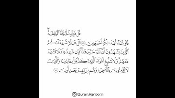 القارئ سعد الغامدي - سورة الأنعام - من الآية 149 إلى الآية 150