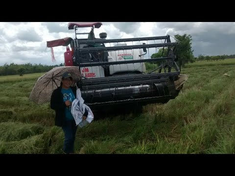 Video: Bumubuo Kami Ng Korona - Kinokontrol Namin Ang Pag-aani