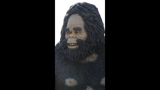 Meet a Skunk Ape Researcher