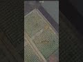 Einmal  alles abreißen #shipgraveyardsimulator2gameplay #simulationdeutsch #bausimulation #gaming