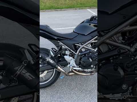My 2024 sv650 with eBay ”sc project” exhaust… sounds so mean