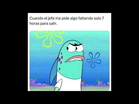 EXPLOTACION LABORAL | MEMES
