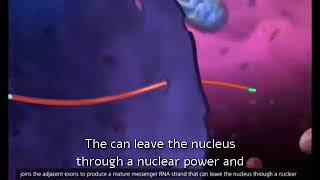 افضل فيديو شرح ممتع عن الخليه مقدمة تشريح الخلية وحدة بنا الجسم