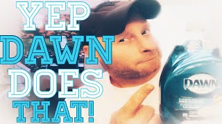 Famous 3 GREAT unexpected uses for DAWN DISH SOAP on your LAWN! ( 3 FACTS) Profile