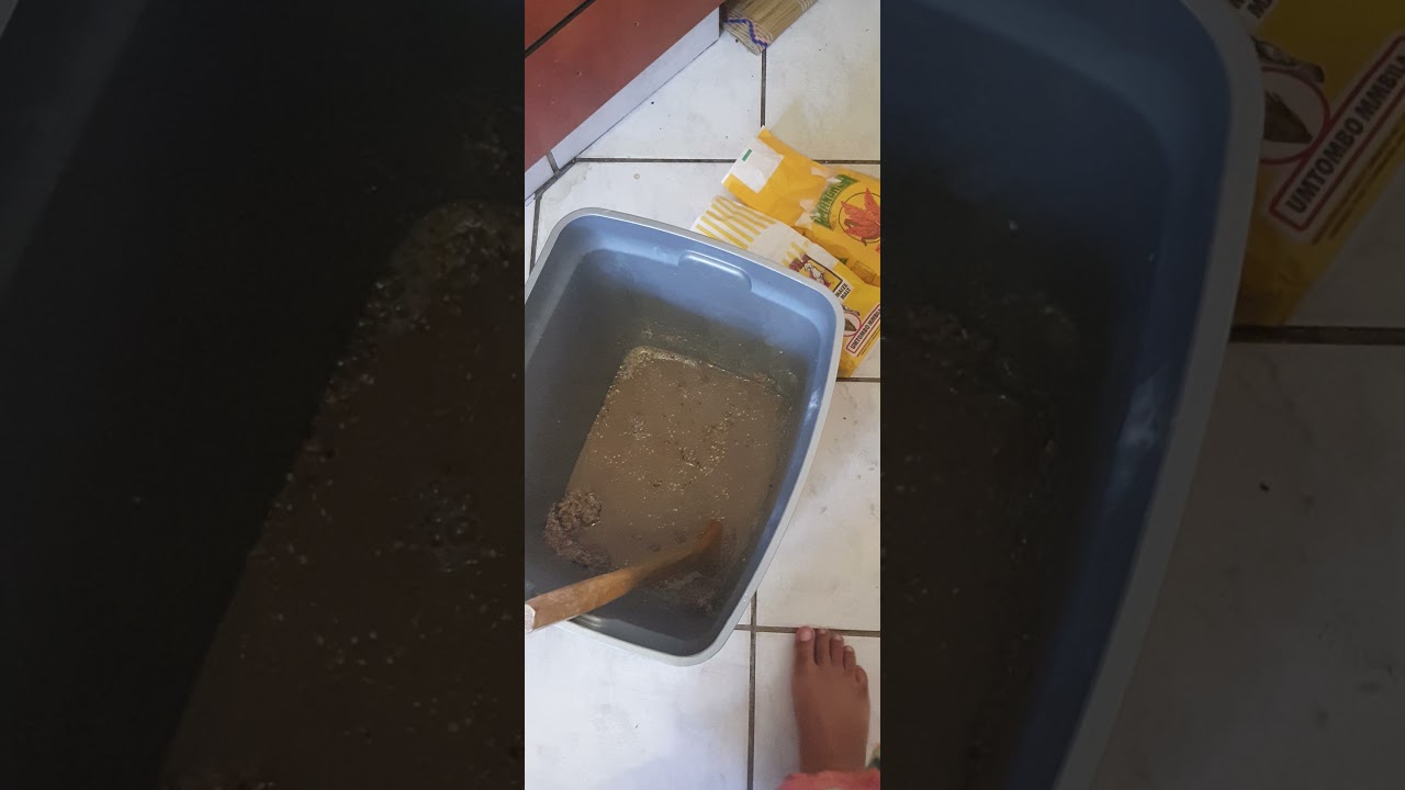 Utshwala besizulu / umqombothi