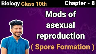 How do Organisms Reproduce - | Types of Asexual Reproduction - Spore Formation | CBSE Class 10